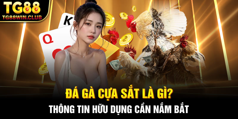 Đá Gà Cựa Sắt Là Gì? Các Loại Quy Tắc Người Chơi Cần Biết