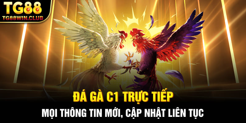 Trực Tiếp Đá Gà C1 - Cập Nhật Mới Nhất Mọi Thông Tin